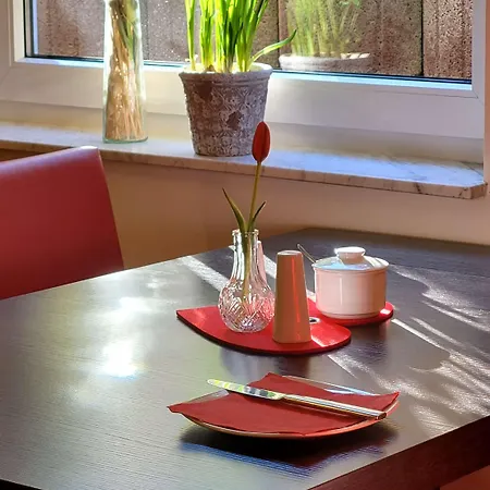 Tulip Frankfurt Airport 3*