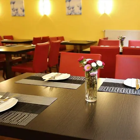 Tulip Frankfurt Airport