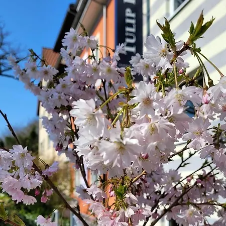 Hotel Tulip Frankfurt Airport Neu-Isenburg