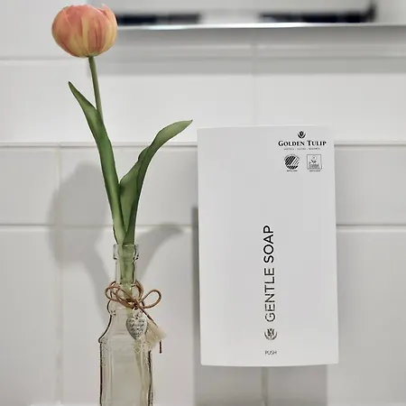 מלון Tulip Frankfurt Airport 3*