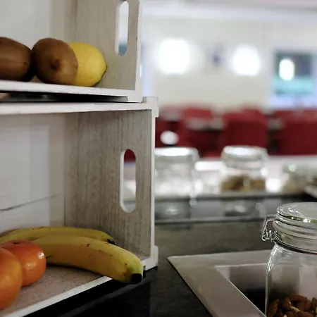 Tulip Frankfurt Airport 3*