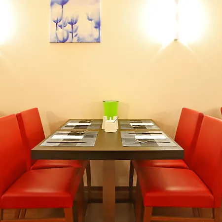 Hotel Tulip Frankfurt Airport 3*