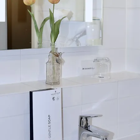 Tulip Frankfurt Airport 3*